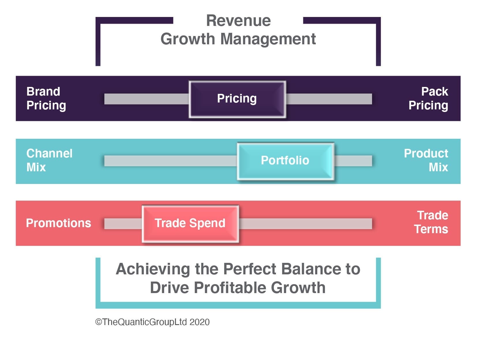 Revenue Growth Management (RGM)